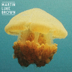 Martin Luke Brown - Into Yellow